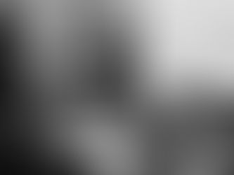 From Paper to Petal: a Geranium Commission for a Returning Client