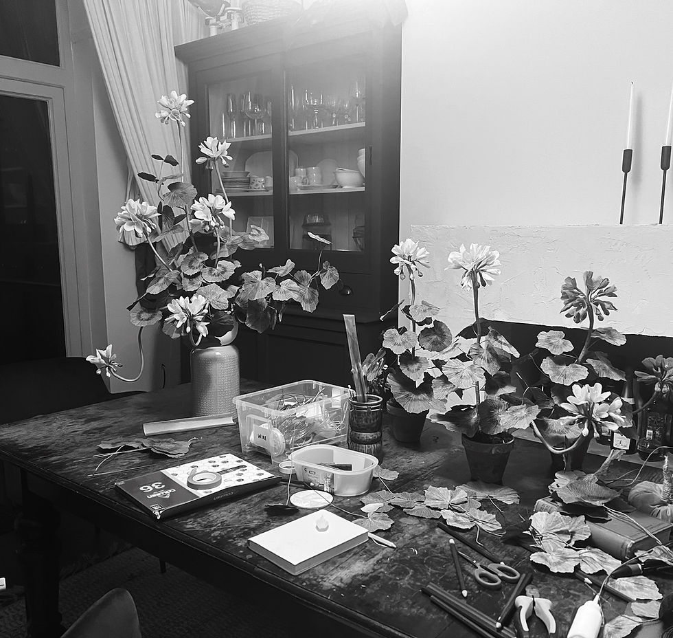 From Paper to Petal: a Geranium Commission for a Returning Client