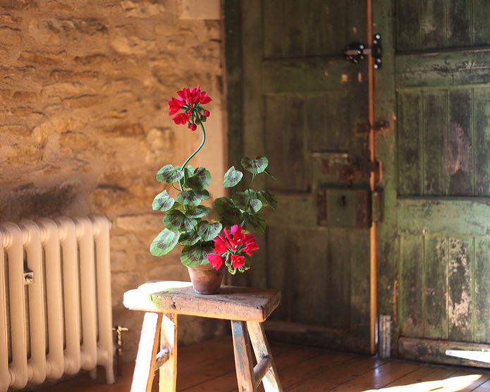 Paper Geranium Red 05.jpg