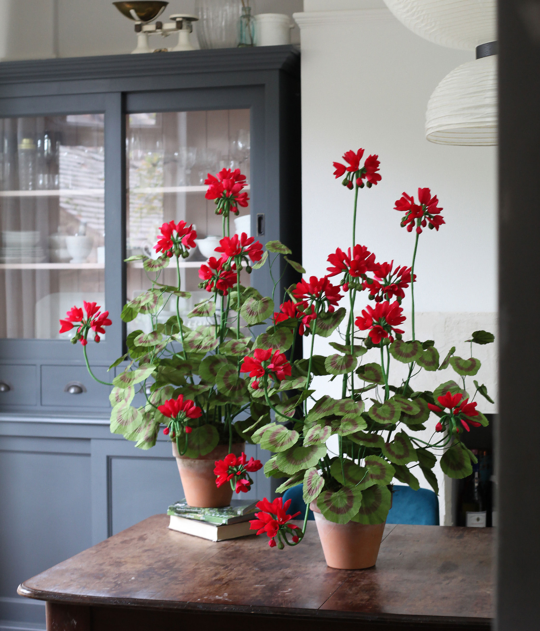Crimson Paper Flower Geranium
