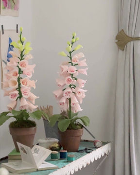 Thumbnail: Light Pink Paper Foxglove