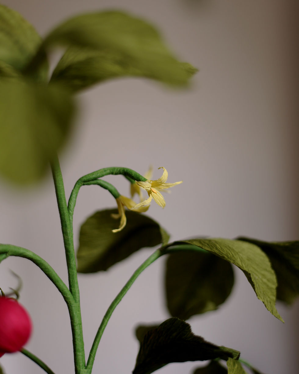 Thumbnail: Paper Tomato Plant