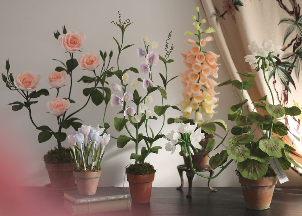 Thumbnail: Paper Crocus with Handpainted Detail