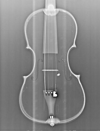x-ray violin