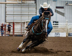 DogPonyShow-JMrazPhotography2024-1444-(ZF-3822-73275-1-002)