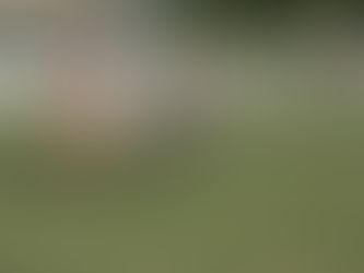 M.S.V.’71 en SVV houden elkaar in evenwicht