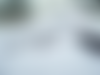 Mastering Your Coverage: Avoiding the 5 Most Common Health Insurance Mistakes