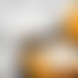 The Health Benefits of Manuka Honey