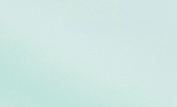 Menthe