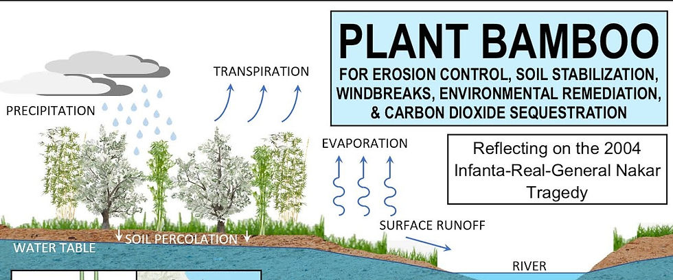 bamboo for erosion control