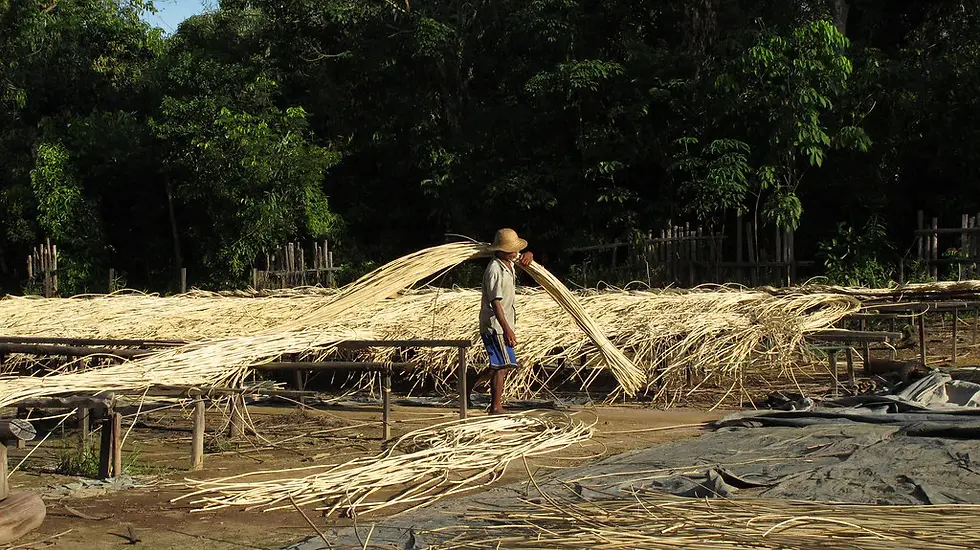 Selecting raw material