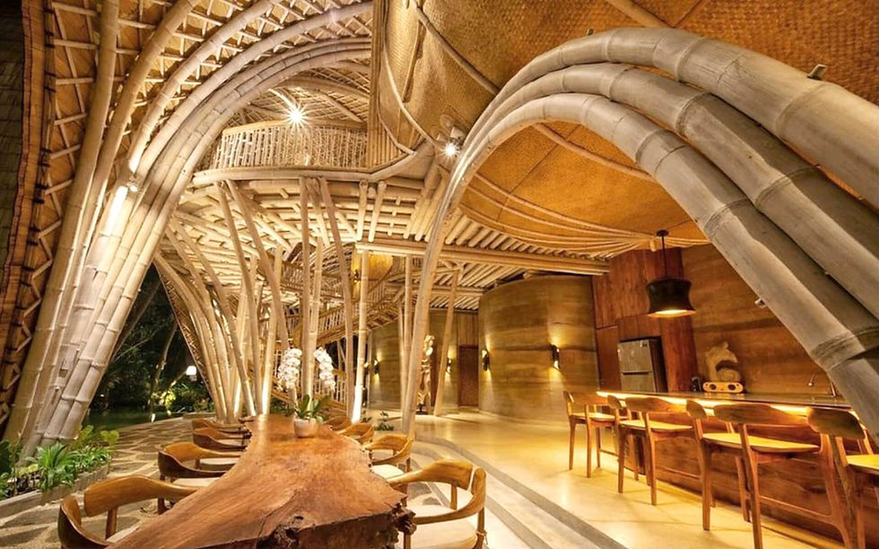bamboo interior design