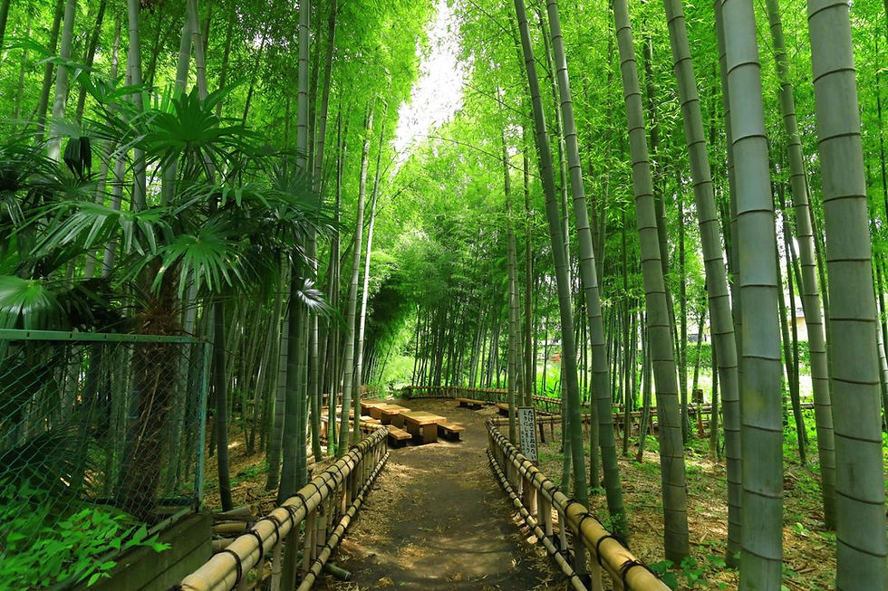 bamboo products Vietnam