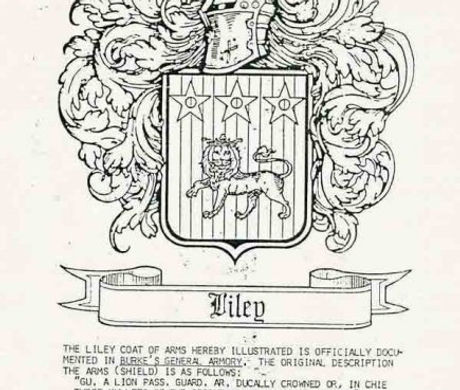 1929582_14070779691_1133_n.jpg