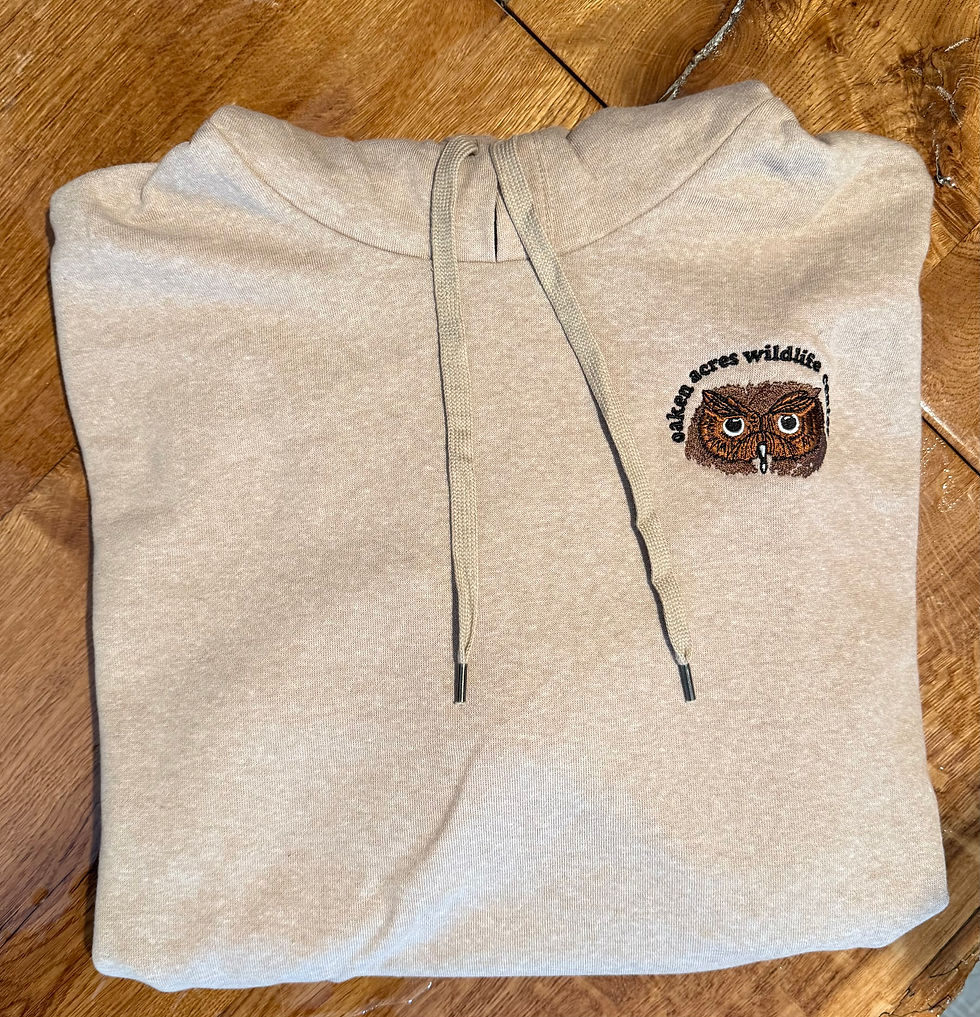 Thumbnail: Desert Tan Hooded Sweatshirt