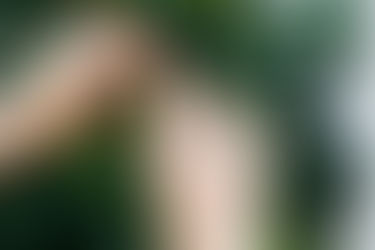 Nutrition Focus: Vitamin D, Vitamin C, & Zinc