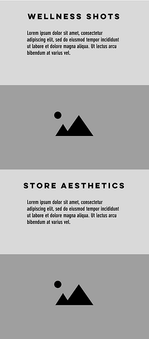 BDC Wireframe (Mobile) - Homepage (pt.2).png