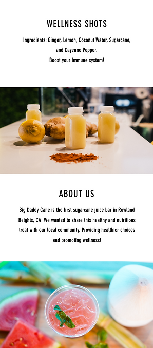 BDC Mockup (Mobile) - Homepage (pt.2).png