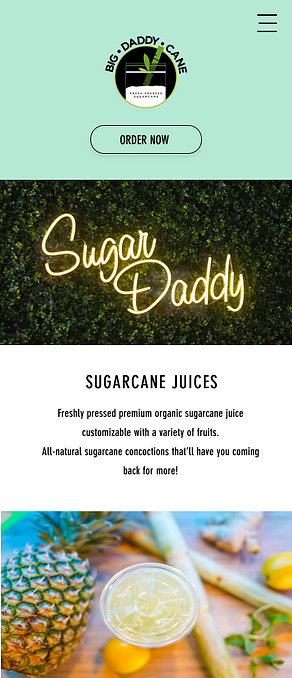 BDC Mockup (Mobile) - Homepage.png