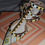 Thumbnail: VALENTINO Native Couture Rockstud Pumps Green Tea Sorbet Size 8.5