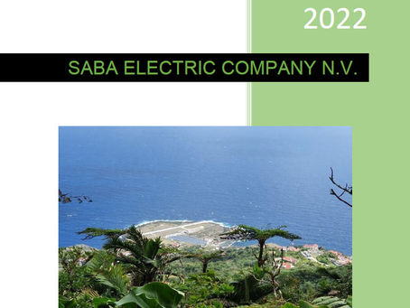 Publication of SEC Annual Financial Report on SEC's Website