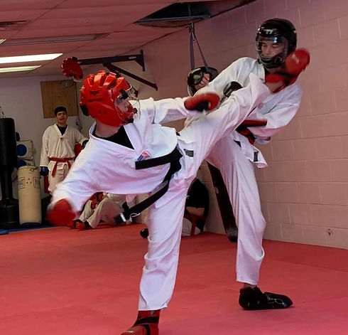 1 sparring image3.jpg