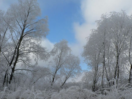 青森東方沖地震は他の地震と関連する?過去の災害の教訓と冬季の地震への備え