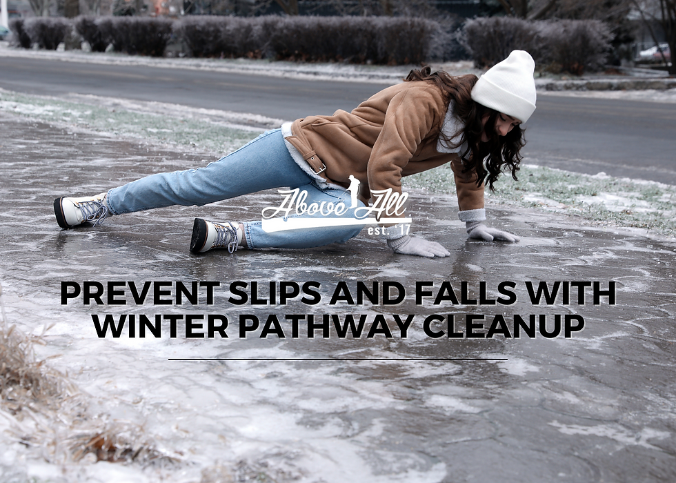 prevent winter slip and fall