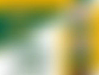 [Forthcoming event] JSAS Annual Conference, "Born "Free" Generation: Transformation and Engagements in Politics, Development and Citizenship across Africa-Asia" 