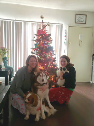 Merry Christmas, Ya Filthy Animals!