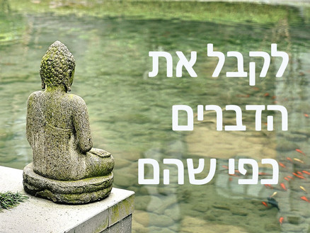 לקבל את הדברים כפי שהם. על האיכות של סבלנות וקבלה בתרגול מיינדפולנס