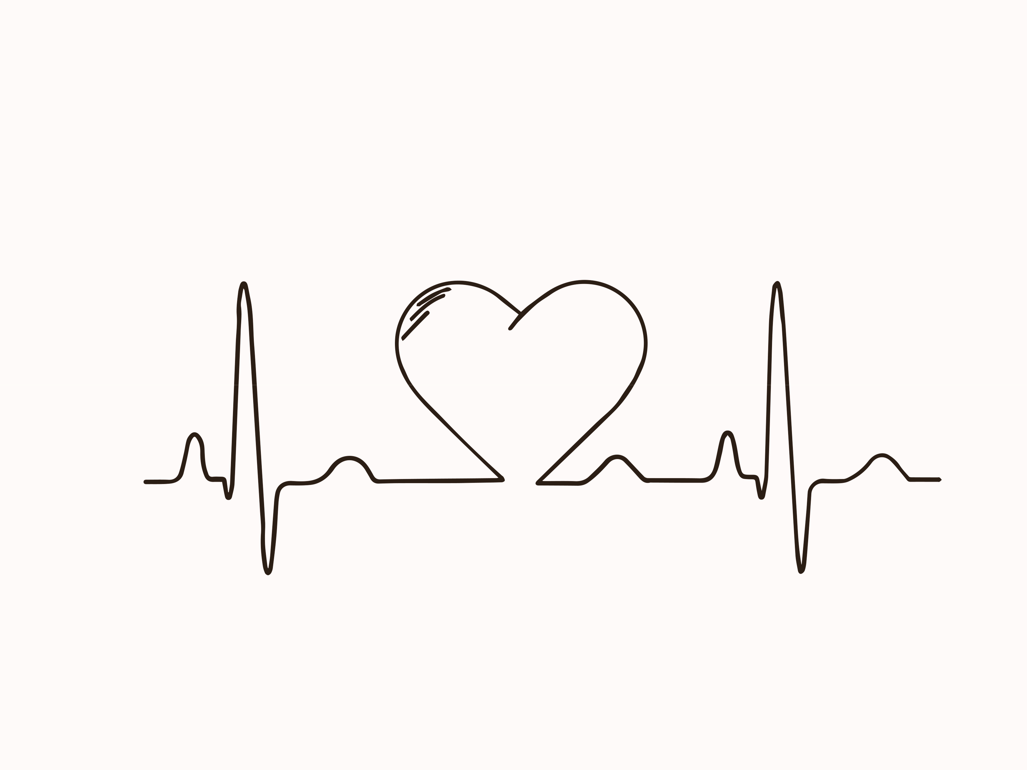 HOW A HEART BEATS blog