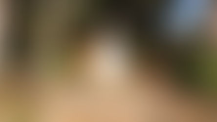 Fairwarp Christ Church - WW1 War Memorials