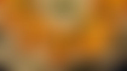 WI Meeting January 2022