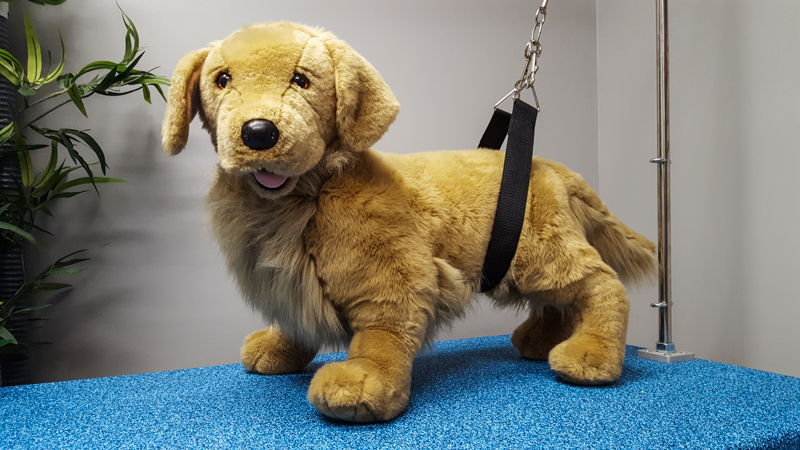 Belly/Chest Support Straps