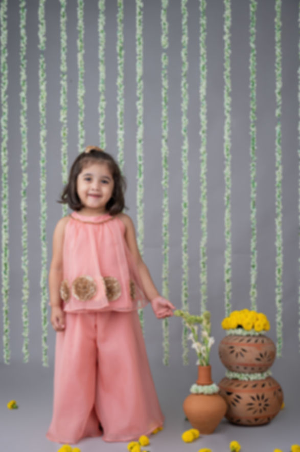 Pink Organza Co-ord Set with Floral Embellishments
