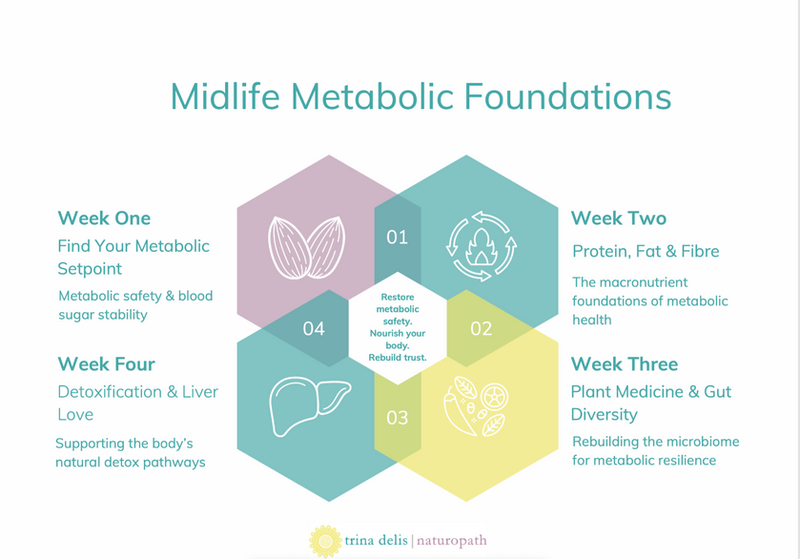 Midlife Metabolic Foundations Framework