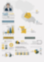 Infographie Connexion Immobilier