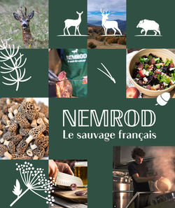 Nemrod