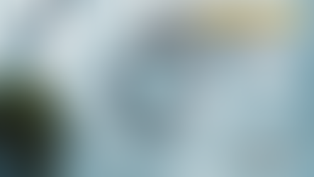 L'ASSERTIVITÉ : s’affirmer sans s’opposer