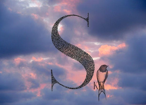 Sky2-hp.jpg