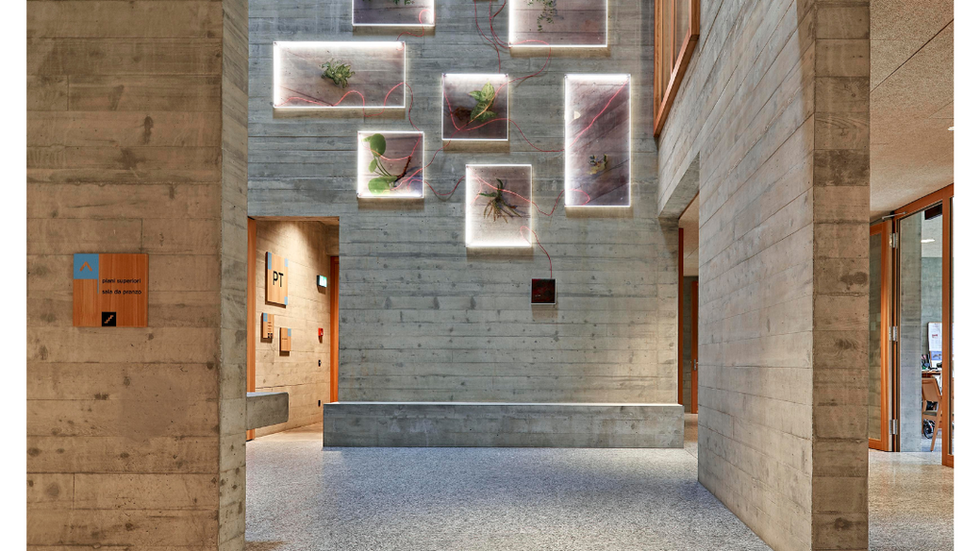 IL VERDE CHE CI ABITA.