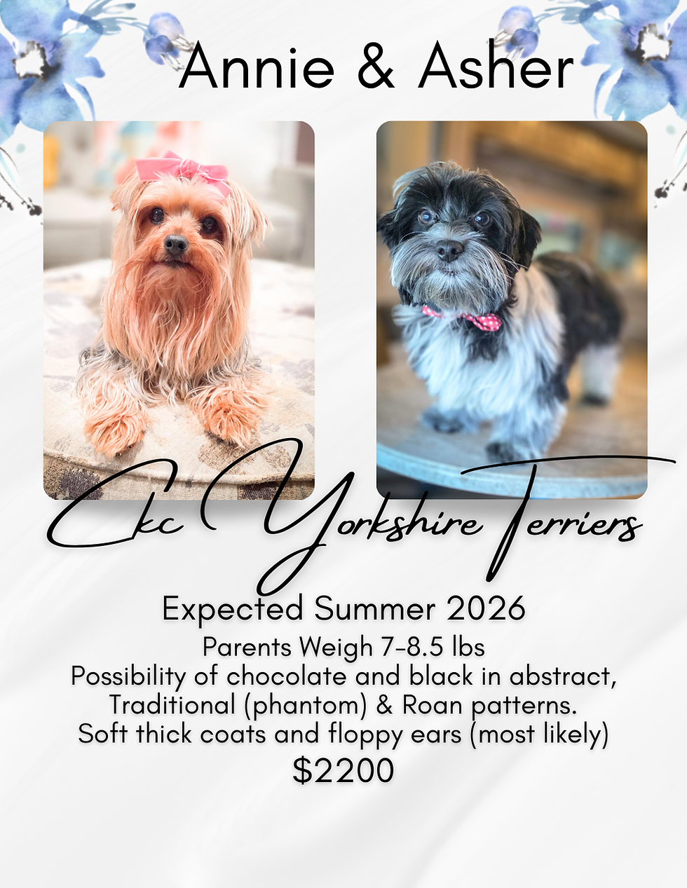 Copy of Annie & Asher (1).png