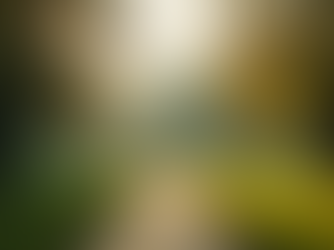 Politik und psychische Gesundheit: Ein wichtiges Thema