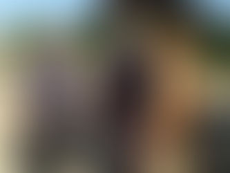 ポニーフレンドクラブさんへ寄付をしました