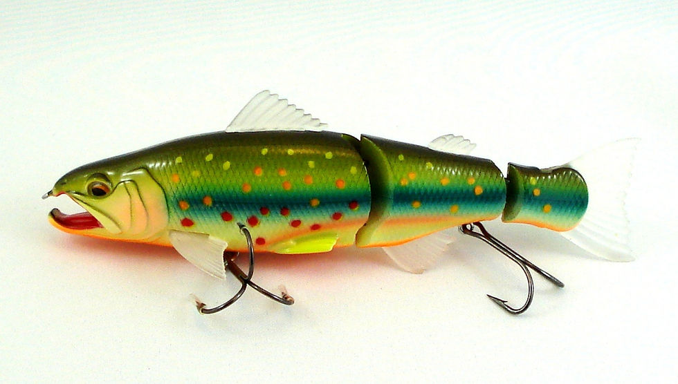 Thumbnail: Salmonid Minnow