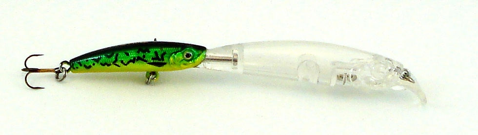 Thumbnail: Twin Minnow