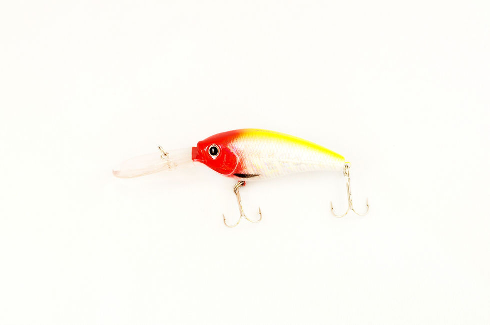 Thumbnail: Crankee Deep Diver 70