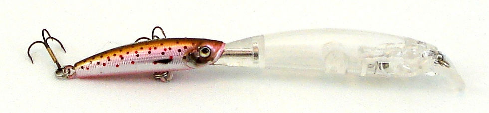 Thumbnail: Twin Minnow