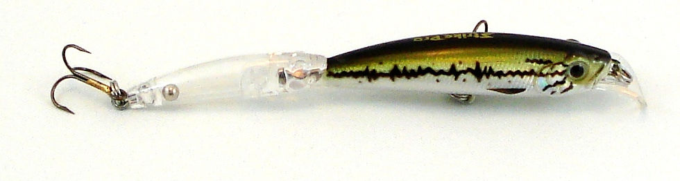 Thumbnail: Twin Minnow